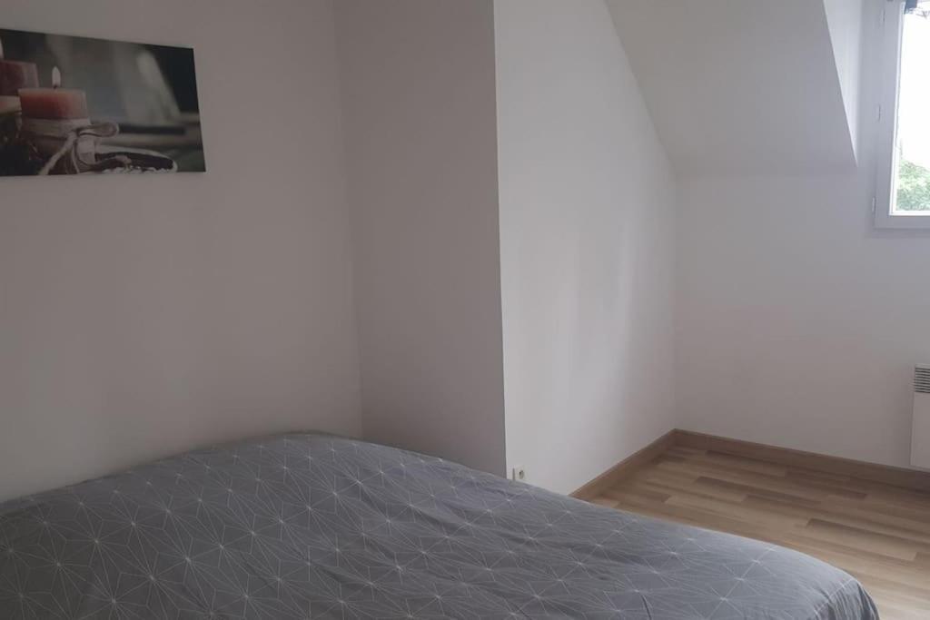 Logement Plein Centre De Plerin A Proximite Des Plages Et Des Commerces Εξωτερικό φωτογραφία